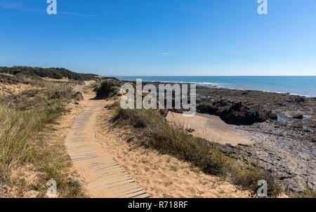 Pfad des Litorals von Pointe du Payré (Talmont-Saint-Hilaire, Frankreich) Stockfoto