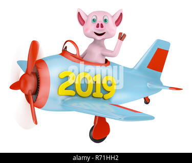 Ferkel im Flugzeug 2019 Stockfoto