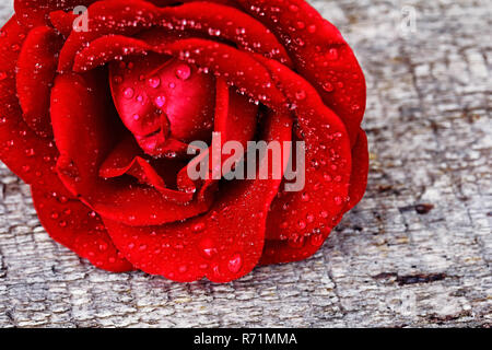 Stockfoto
