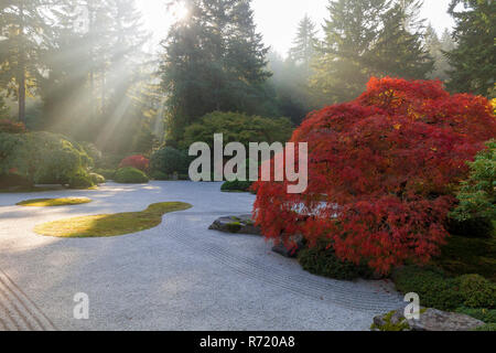 Sonnenstrahlen über Japanische flachen Sand Garten im Herbst Stockfoto