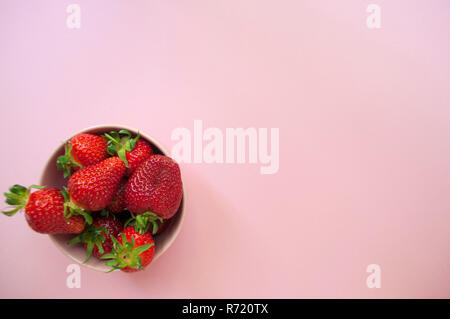 Oben auf Ansicht frische Erdbeeren in einem rosa Schüssel auf rosa Hintergrund. Stockfoto