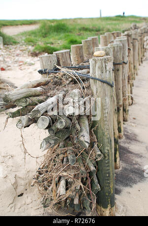 Küstenschutz auf der Insel Amrum (Deutschland): buhnen. In den Ozean, Buhnen erstellen Strände oder verhindern Sie durch longshore Drift gewaschen. Stockfoto