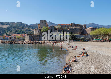 Frankreich, Pyrenees Orientales, Cote Vermeille, Collioure, Boramar Strand und das Königliche Schloss im Hintergrund // Frankreich, Pyrénées-Orientales (66), Côte Stockfoto