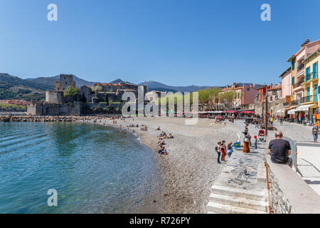 Frankreich, Pyrenees Orientales, Cote Vermeille, Collioure, Boramar Strand und das Königliche Schloss im Hintergrund // Frankreich, Pyrénées-Orientales (66), Côte Stockfoto