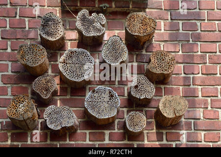 Insekt Boxen, insekt Asyl, insectshotels, künstliche Hilfe für das nisten und überwintern, in Deutschland, in Europa. Stockfoto