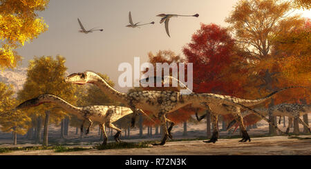 Coelophysis Jagd Stockfoto