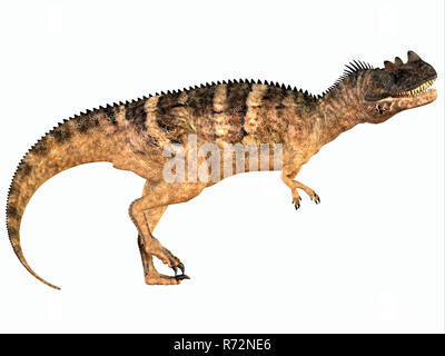 Ceratosaurus über Weiß Stockfoto