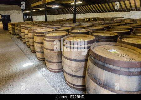 Fässer Whisky, Highland Park Destillerie Whsiky, Kirkwall, Orkney, GB Stockfoto