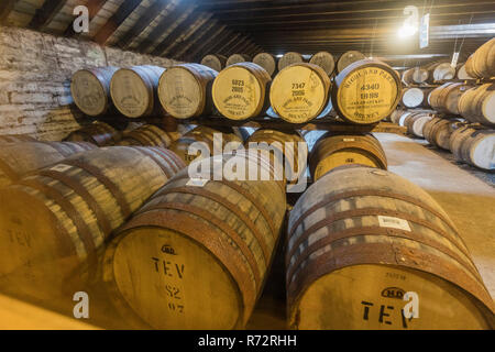 Fässer Whisky, Highland Park Destillerie Whsiky, Kirkwall, Orkney, GB Stockfoto