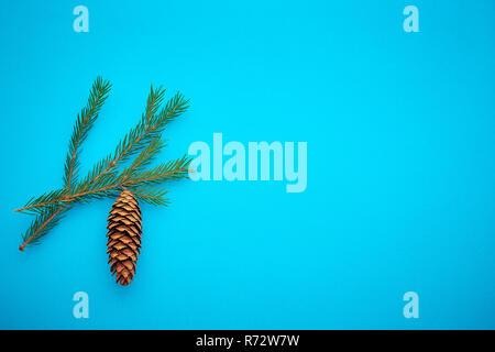 Filiale Weihnachtsbaum auf einem farbigen Hintergrund, ein Platz für Text Stockfoto