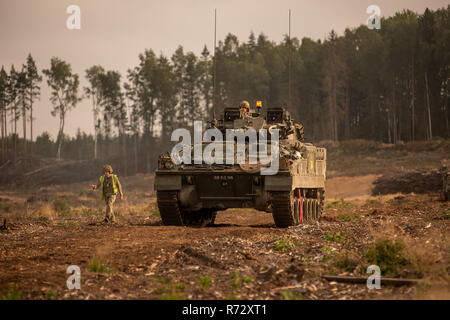 Krieger gepanzerte Kampffahrzeuge der britischen Battlegroup NATO Erweiterte vorwärts Präsenz in Estland Stockfoto