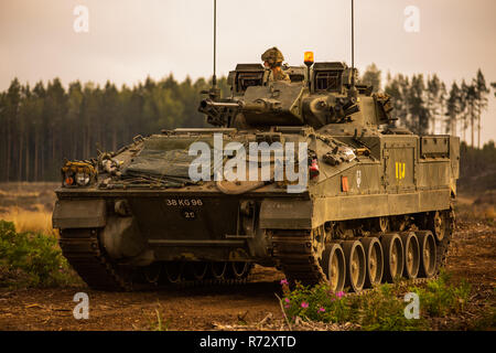 Krieger gepanzerte Kampffahrzeuge der britischen Battlegroup NATO Erweiterte vorwärts Präsenz in Estland Stockfoto