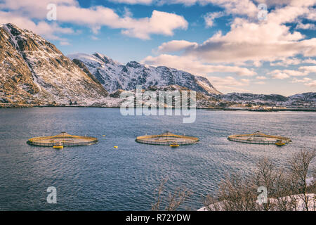 Lachszucht in norwegischen Fjord, malerische Winterlandschaft, Lofoten, Norwegen Stockfoto