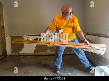 A Southern Baptist Katastrophenhilfe freiwillige entfernt Holz von einem Haus nach einem Hochwasser in Denham Springs, Louisiana beschädigt. Stockfoto