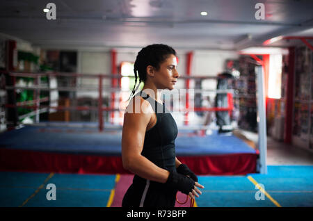 Weibliche Boxer in der Turnhalle Stockfoto