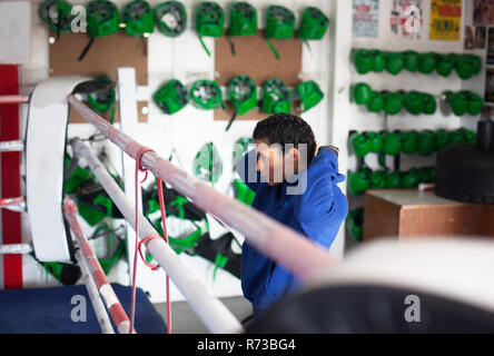 Weibliche Boxer in der Turnhalle Stockfoto