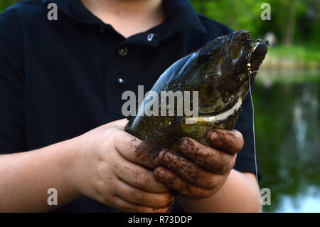 Junge stolz Fischer mit Bass Catch Stockfoto