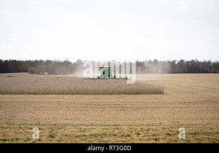 Ein John Deere Ernten von Mais auf einem grauen Tag. Stockfoto