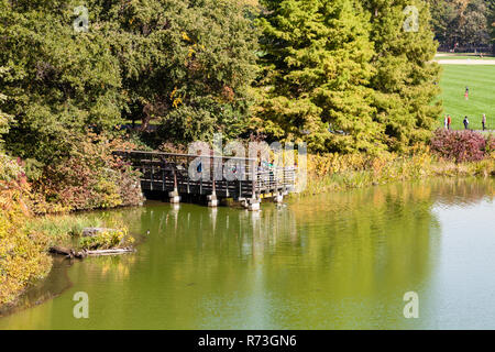 Die Aussicht auf die Schildkröte Teich im Central Park, New York City auf einem noch Herbstmorgen. Stockfoto