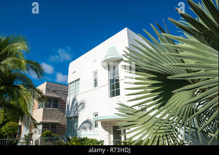 Tropische Ventilator Palme Wedel schmücken einen Innenhof vor der Art-deco-Architektur unter strahlend blauen Himmel in South Beach, Miami, Florida, USA Stockfoto