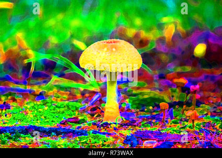 Wald Vergiftung Pilz ganz nah am Boden isoliert Stockfoto