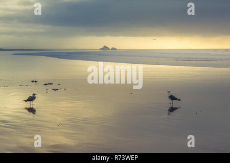 Schöne Atmosphäre am frühen Abend an Tagharte Beach in der Nähe von Essaouira, Marokko Stockfoto