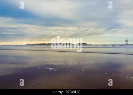 Schöne Atmosphäre am frühen Abend an Tagharte Beach in der Nähe von Essaouira, Marokko Stockfoto