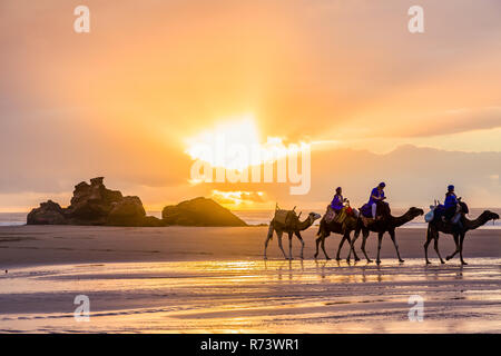 Schöne Atmosphäre am frühen Abend an Tagharte Beach in der Nähe von Essaouira, Marokko Stockfoto