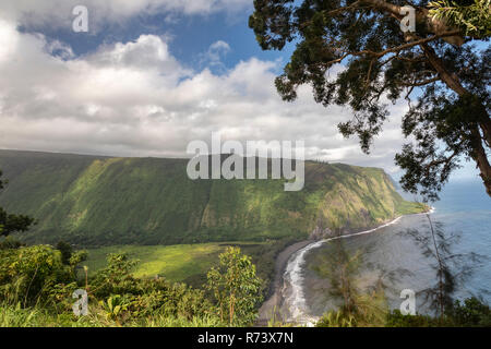 Waipi'o Tal auf der grossen Insel von Hawaii, von einem Aussichtspunkt über dem Tal. Stockfoto