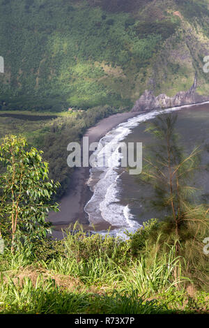 Der schwarze Sandstrand in Waipi'o Tal auf der grossen Insel von Hawaii. Stockfoto