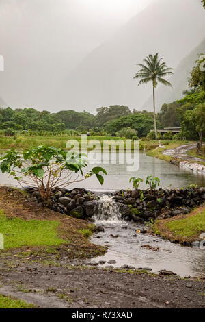 Waipi'o Tal auf der grossen Insel von Hawaii. Stockfoto