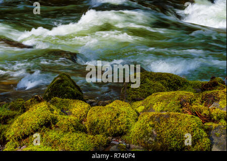 Zauberhafte Landschaften, die beim Wandern entlang der Salmon River in Mt gesehen werden kann. Hood National Forest in der Nähe von Welches, Oregon Stockfoto