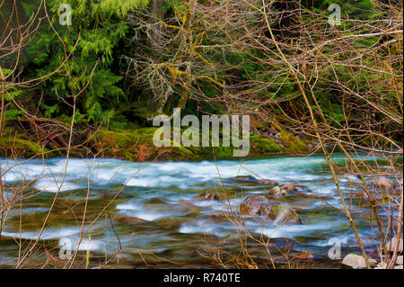 Zauberhafte Landschaften, die beim Wandern entlang der Salmon River in Mt gesehen werden kann. Hood National Forest in der Nähe von Welches, Oregon Stockfoto