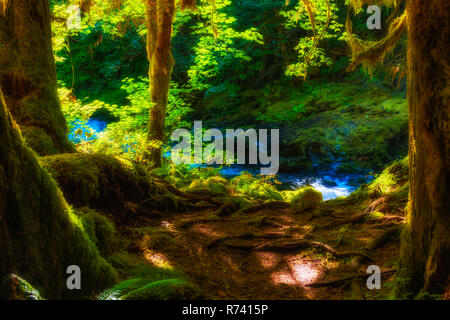 Schattig einladende Rastplätze beim Wandern entlang des Salmon River, welches in der Nähe von Oregon im Mt. Hood National Forest Stockfoto