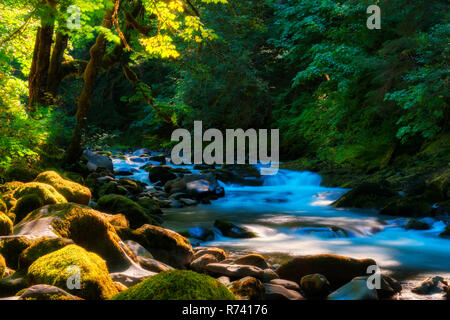 Schattig einladende Rastplätze beim Wandern entlang des Salmon River, welches in der Nähe von Oregon im Mt. Hood National Forest Stockfoto