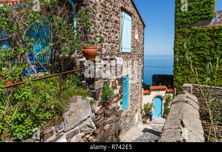 Frankreich, Pyrenees Orientales, Cote Vermeille, Collioure, Gasse im alten Stadtteil von Moure // Frankreich, Pyrénées-Orientales (66), Côte Vermeille, Co Stockfoto