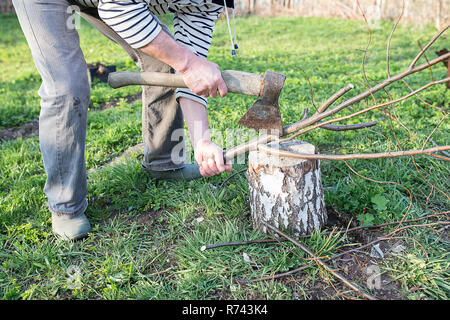 Nahaufnahme von männlichen Händen Hacken von Brennholz, Ast auf Baumstumpf mit alte rostige Axt Stockfoto