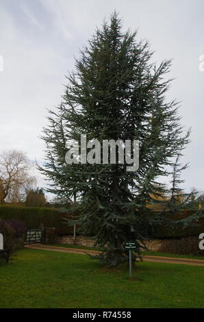 Untere Oddington. Der Macmillan. Weitwanderweg. Gloucestershire. Cotswolds. England. Großbritannien Stockfoto