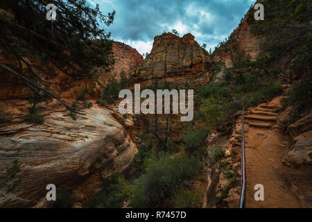 Zion National Park in Utah USA Stockfoto