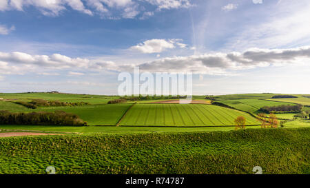 Ein Flickenteppich von Wäldern und Feldern mit Getreide und Vieh weiden umfasst die rollenden Chalk Hügeln der Dorset Downs von Maiden gesehen Stockfoto