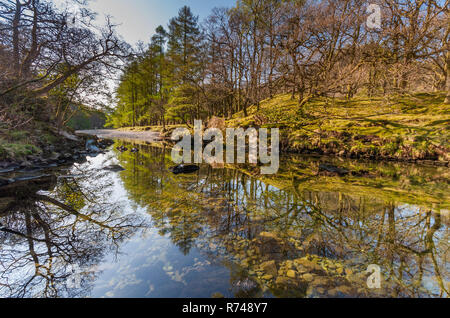 Wald Bäume sind in den Wassern des Flusses Derwent im Borrowdale wider, in der Nähe von Keswick in England Lake District. Stockfoto