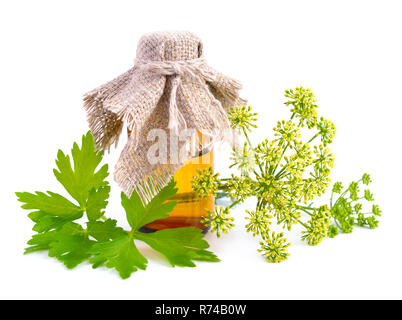 Petersilie Öl auf pharmazeutische Flasche. Auf weissem Hintergrund. Stockfoto