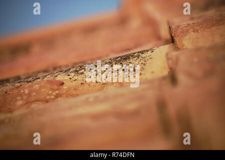 Seite von Orange roten Dachziegeln Stockfoto