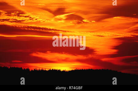 Die Silhouette des Waldes mit einem beeindruckenden Sonnenuntergang Himmel in tief orange und rot in den Harz, Deutschland. Stockfoto