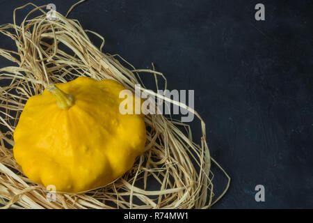 Gelbe pattypan Squash auf weißem Hintergrund. Art Zucchini cucurbit Draufsicht Stockfoto