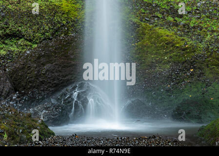 Latourell Falls, 224 Fuß in der Höhe, Multnomah Co., Oktober, Oregon, USA, von Dominique Braud/Dembinsky Foto Assoc Stockfoto