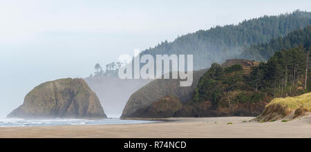 Steigende Nebel, Ecola State Park, wie von Cannon Beach, Oregon, USA, von Dominique Braud/Dembinsky Foto Assoc gesehen Stockfoto