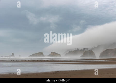 Starker Nebel, Ecola State Park, wie von Cannon Beach, Oregon, USA, von Dominique Braud/Dembinsky Foto Assoc gesehen Stockfoto