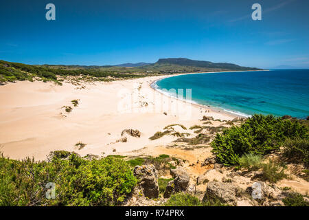 Sand dune der Strand von Bolonia, Provinz Cadiz, Andalusien, Spanien Stockfoto