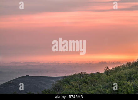 Bäume im Sonnenaufgang Nebel Stockfoto